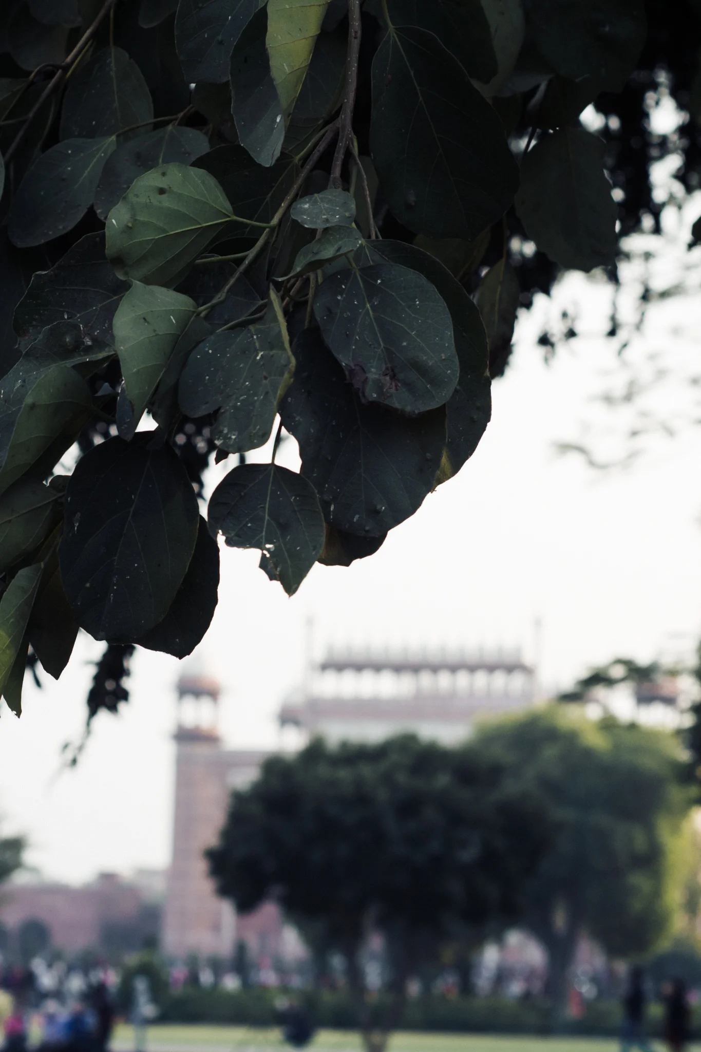 indiafifth-43.jpg