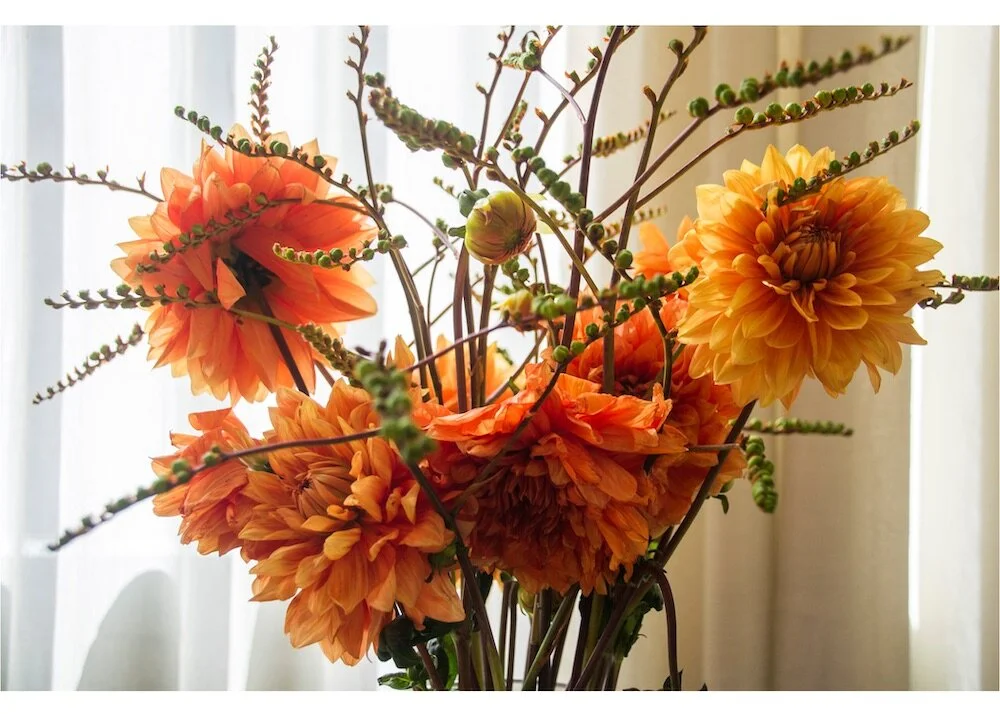 Flowers this Week