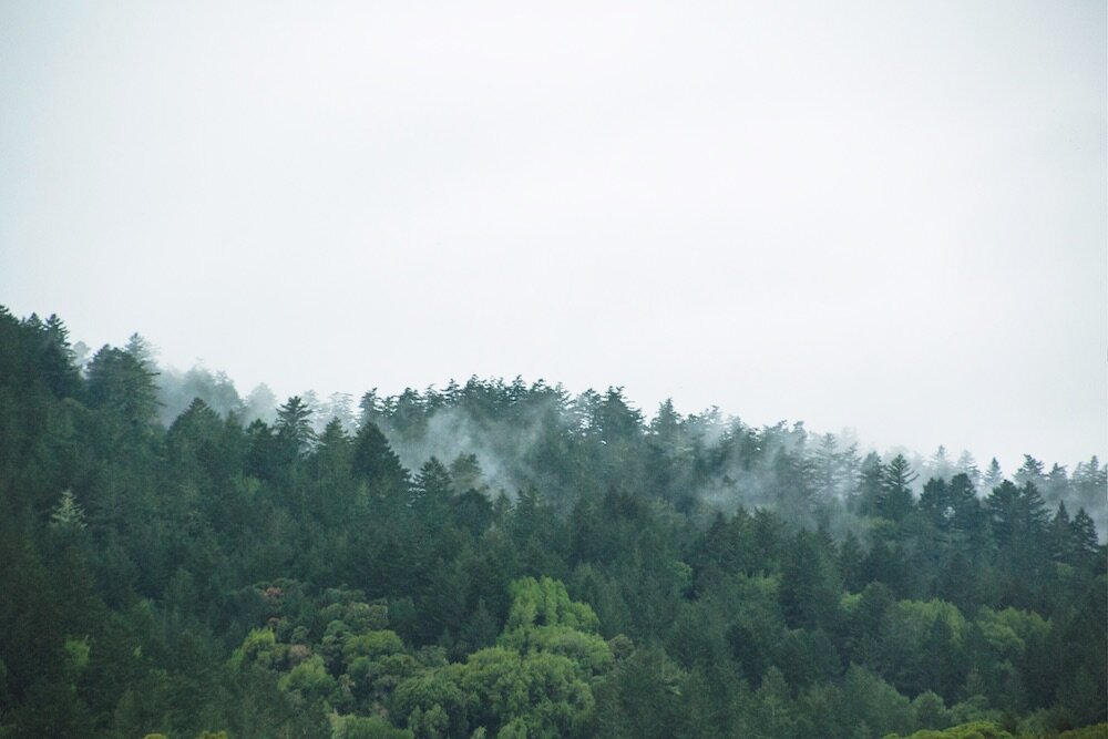 Crystal Springs