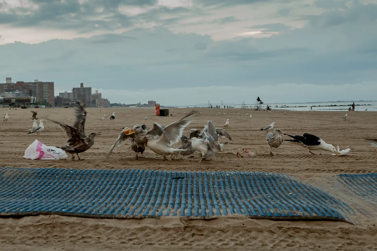 ConeyIsland-42.jpg