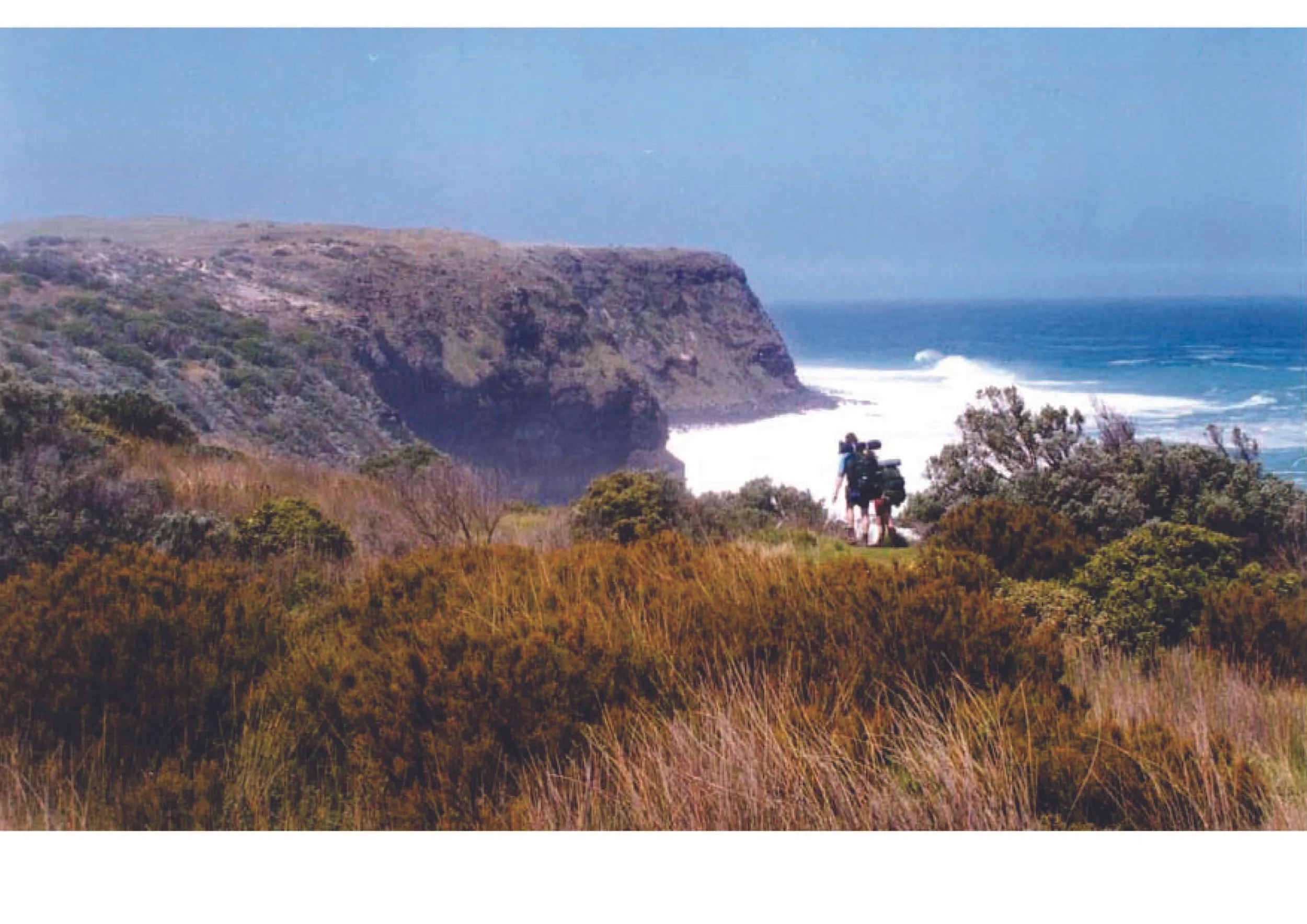 Recreation_Bushwalking.jpg