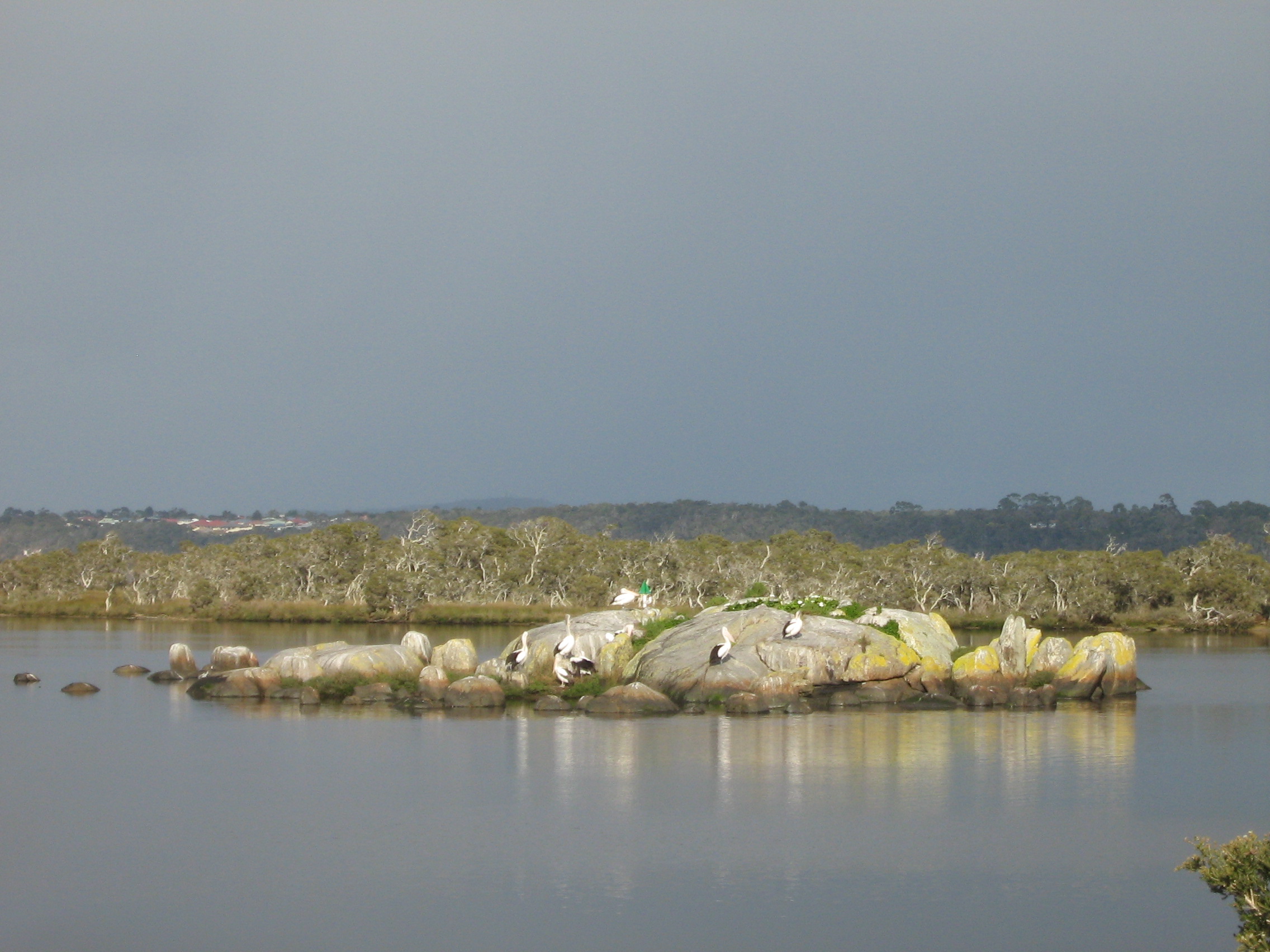 Kinjarling Trail & Stories - Oyster Bay, Albany WA