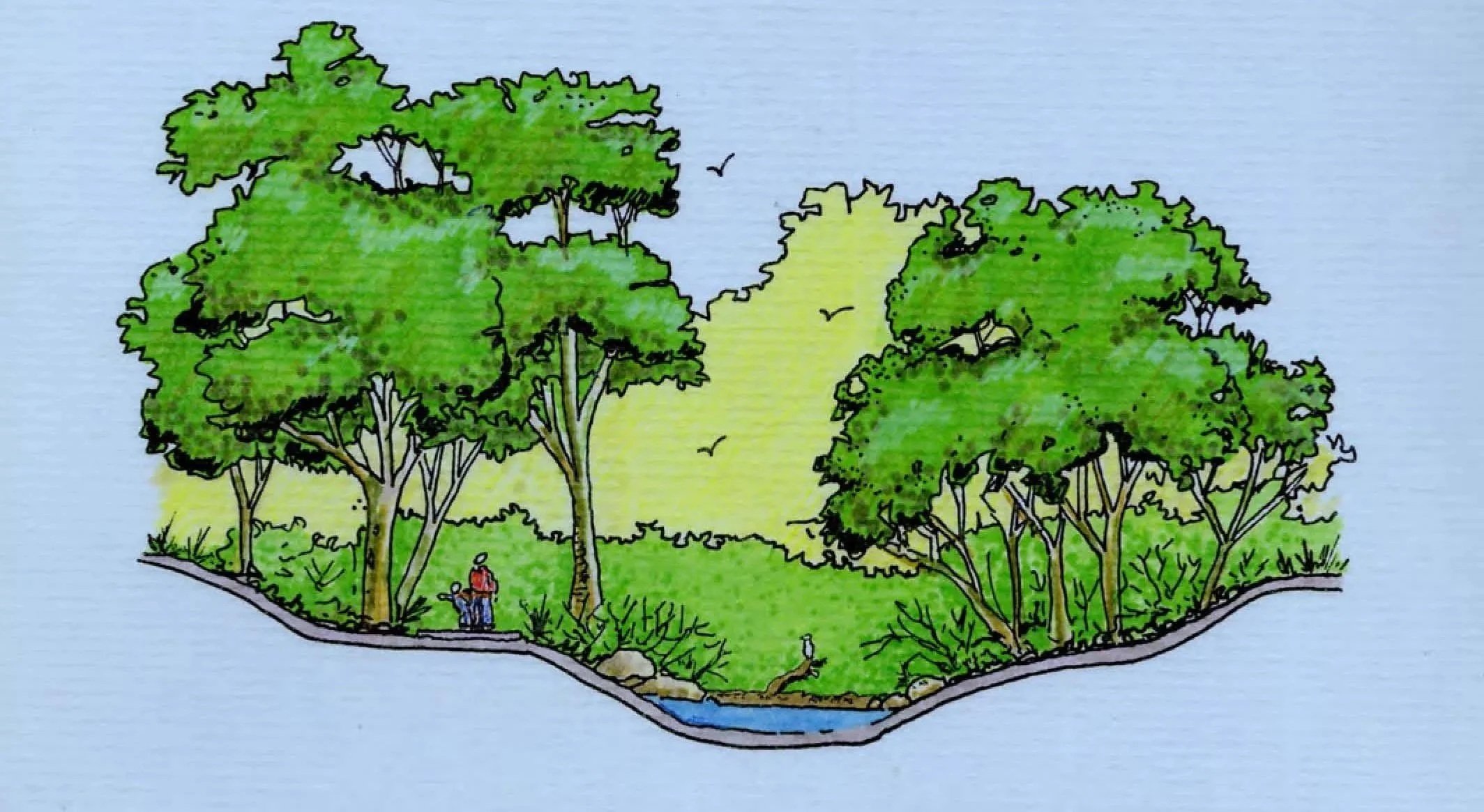 Moonee Ponds Creek Restoration