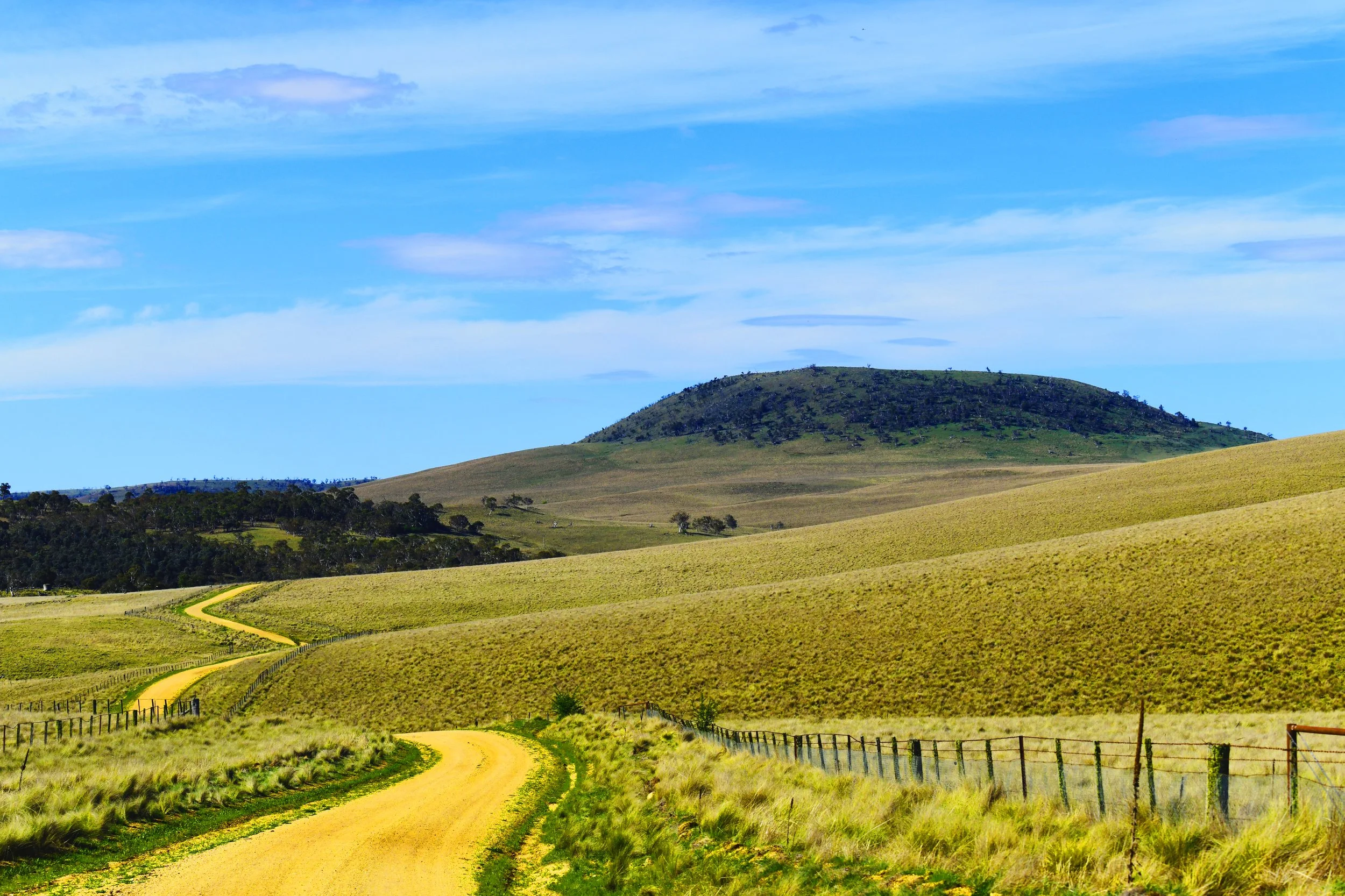 Appx5 Cover 850_5632 Edits280225.jpg