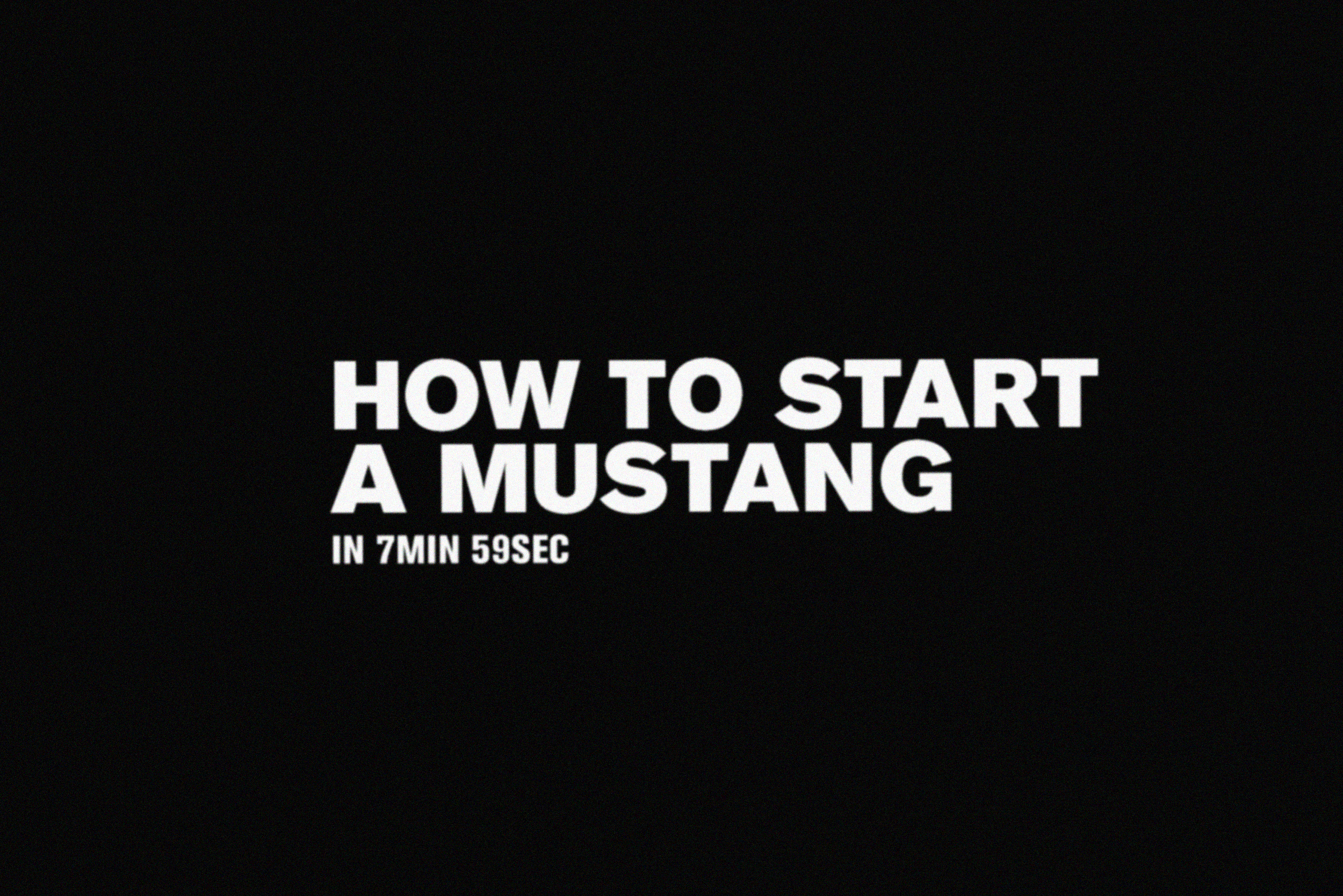 A COUPLE OF RANDOM SHORT FILMS