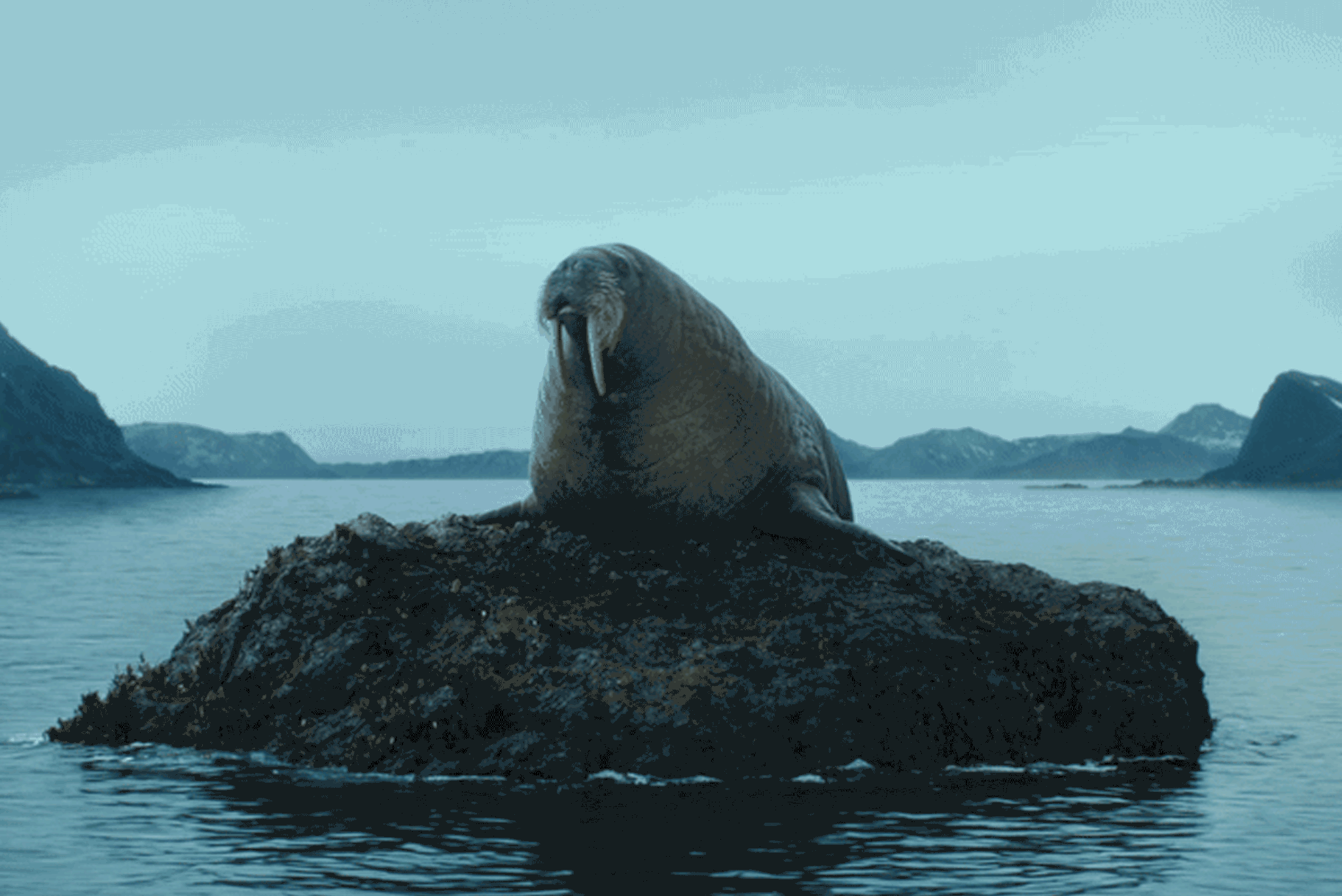 E*TRADE // MORE TO LOVE