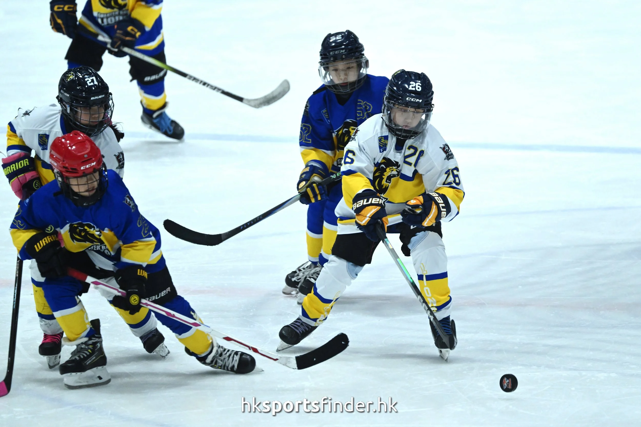 Z9P_1164.jpg