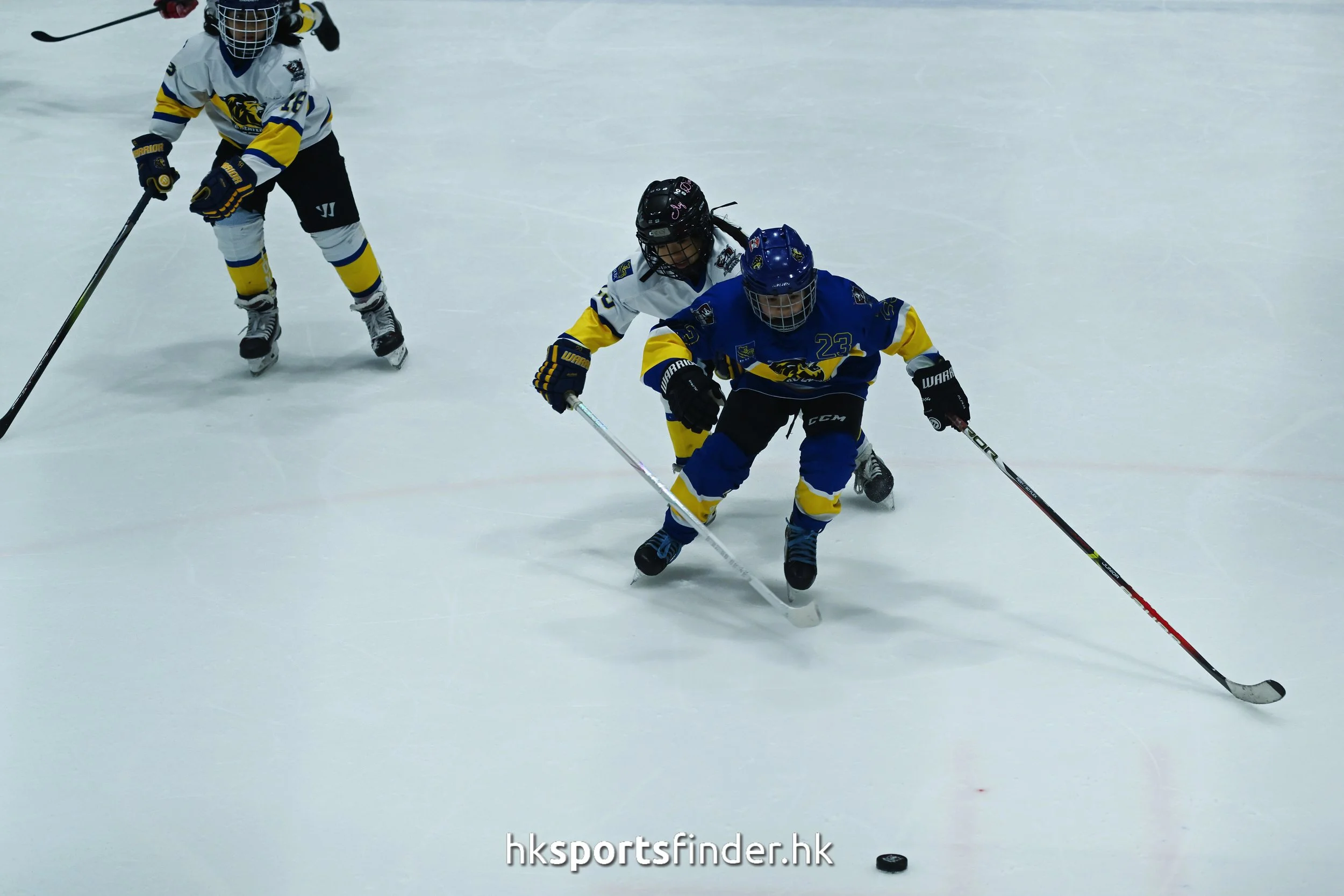 Z9P_1717.jpg