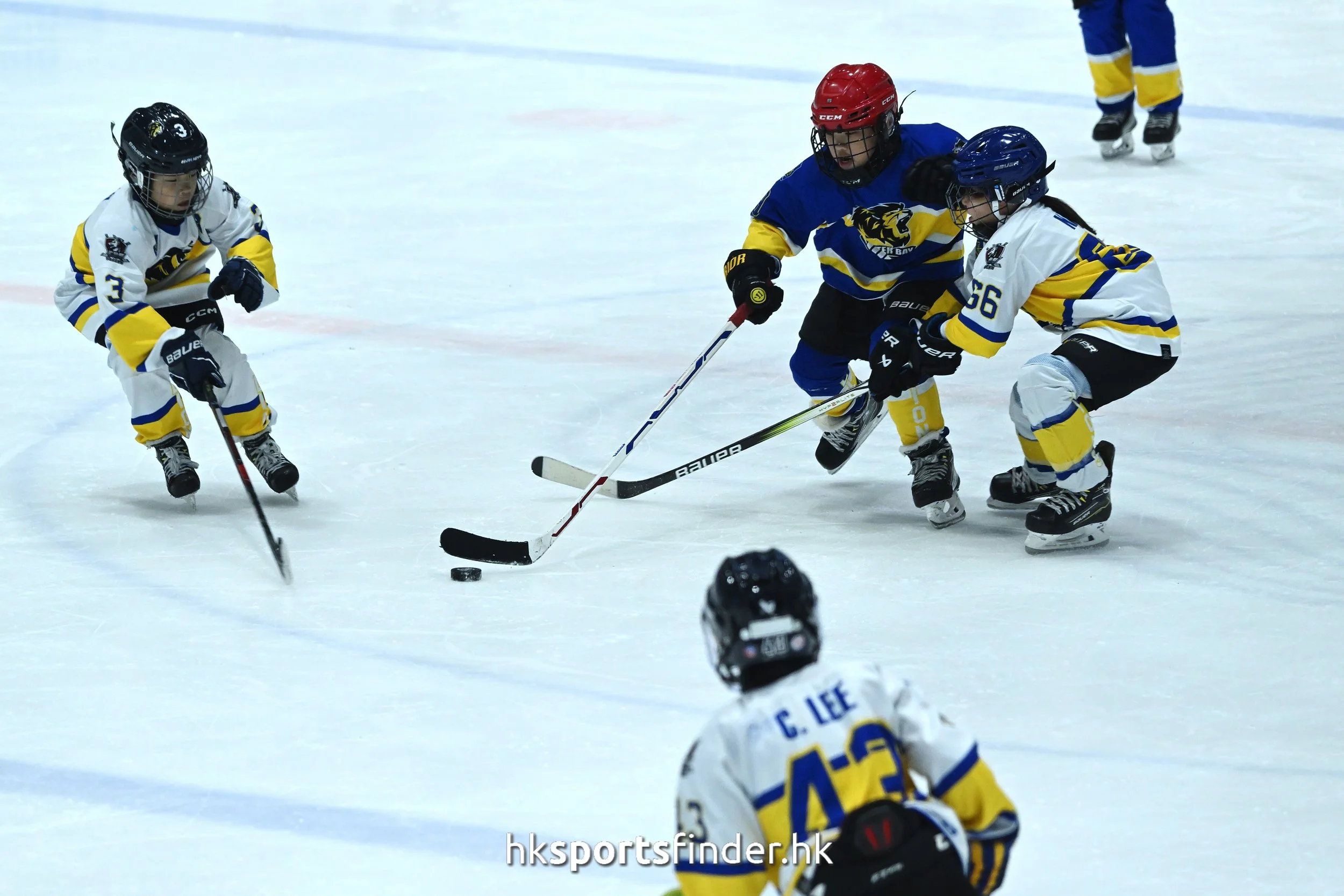 Z9P_2624.jpg