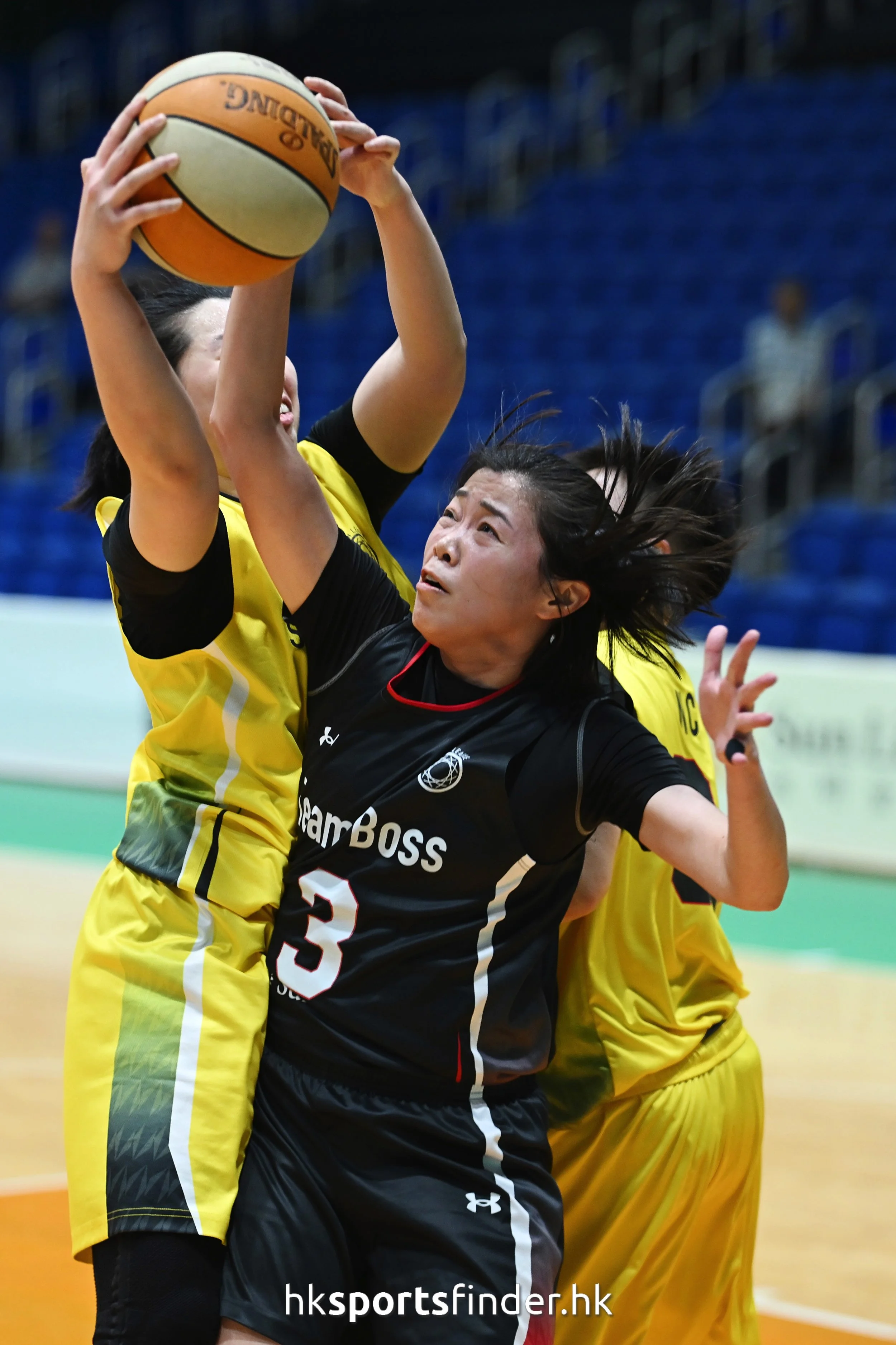 Z8P_5373.jpg