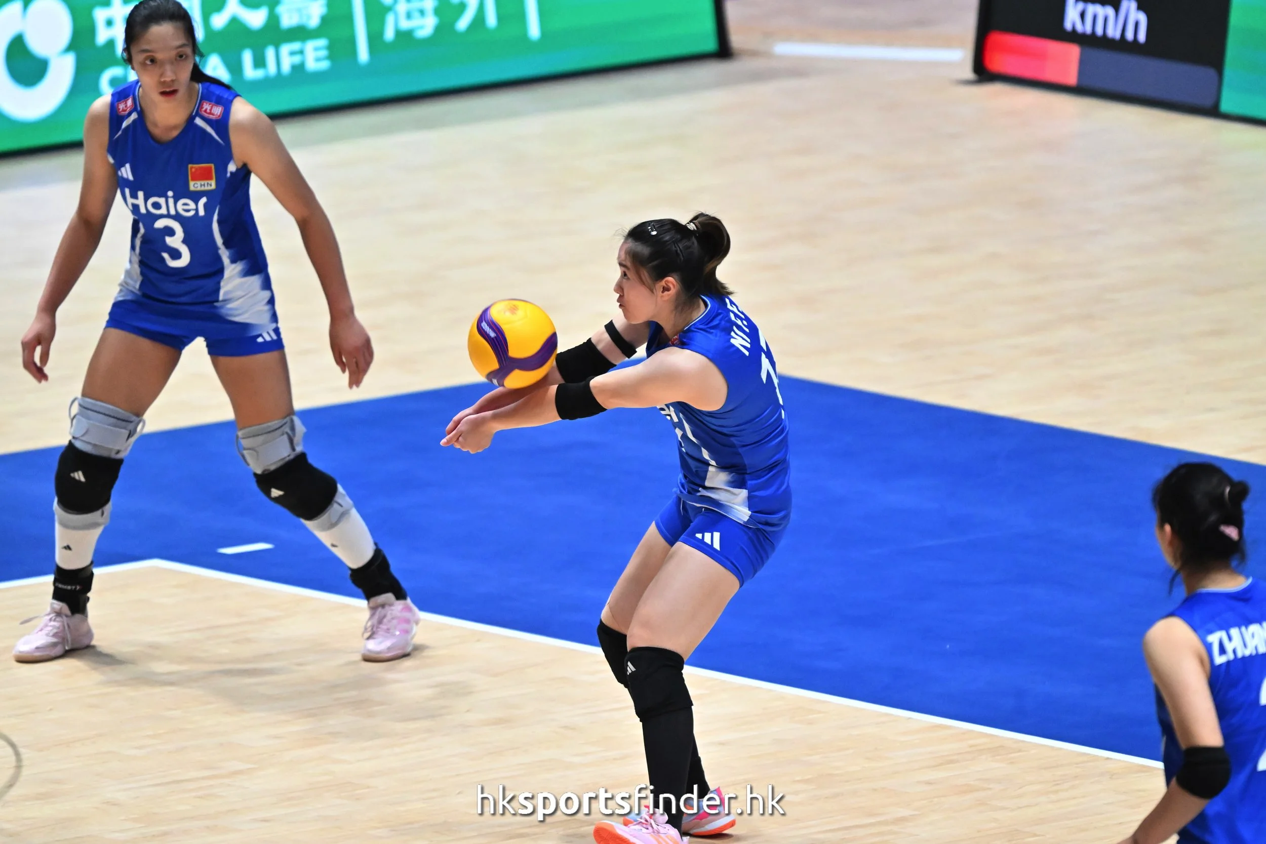 Z9P_0349.jpg