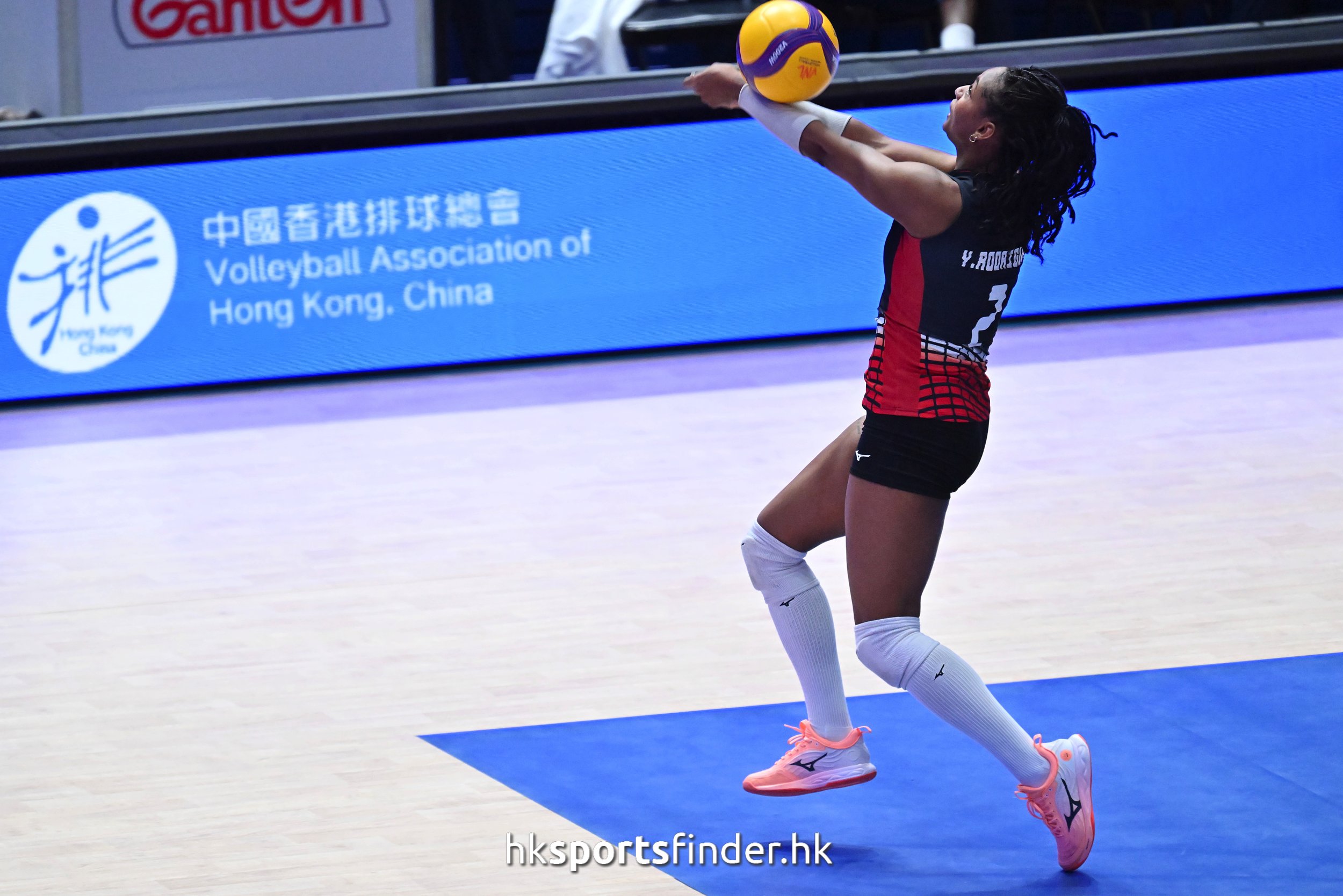 Z9P_9007.jpg