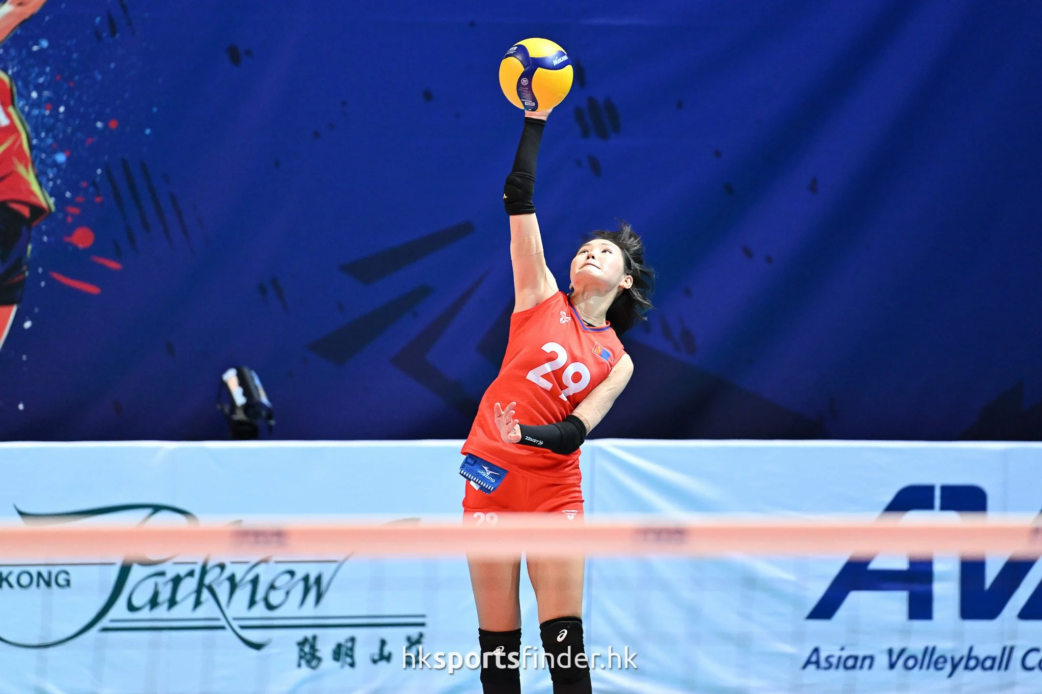 Z9P_0158.jpg