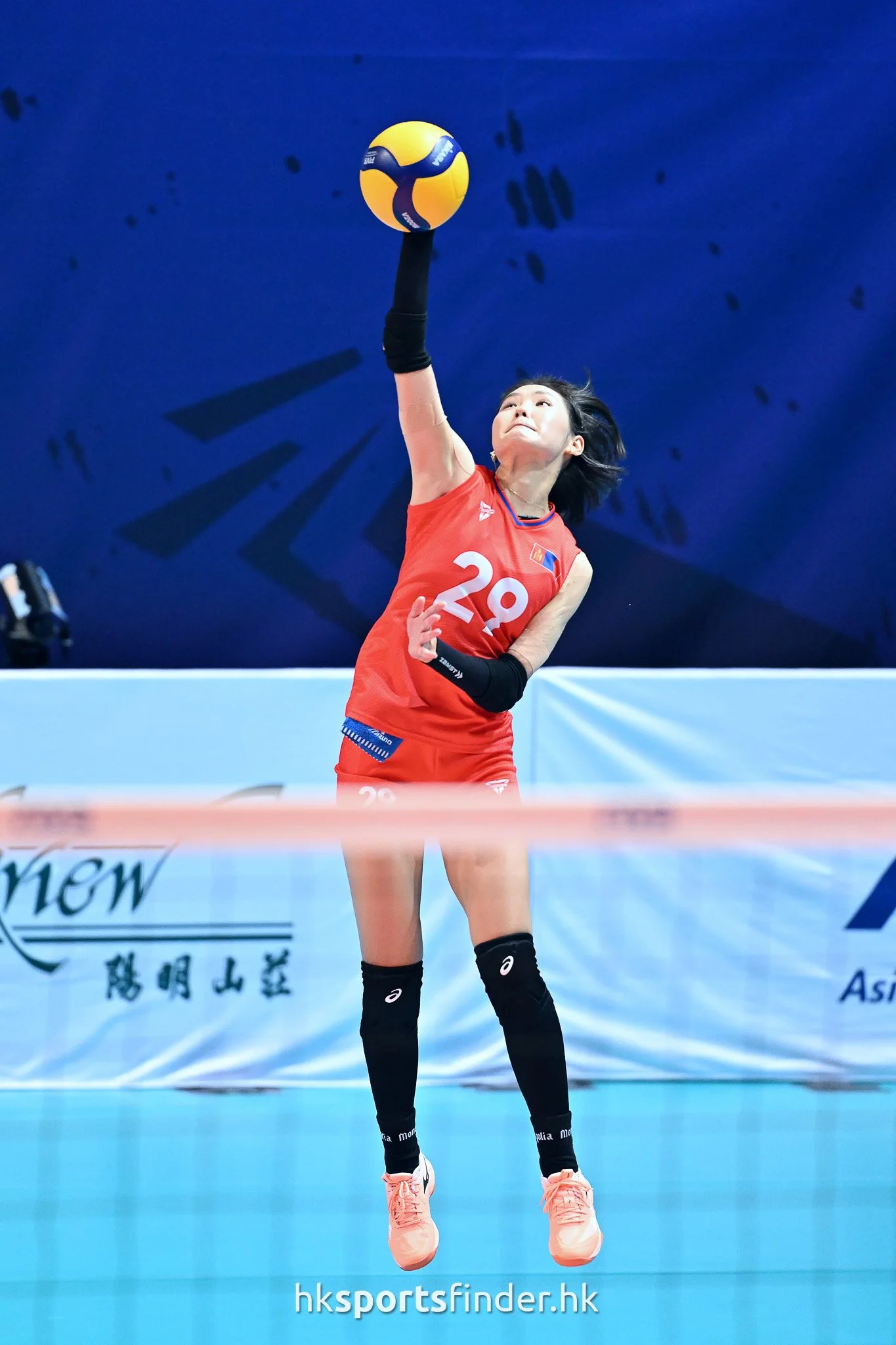 Z9P_9139.jpg