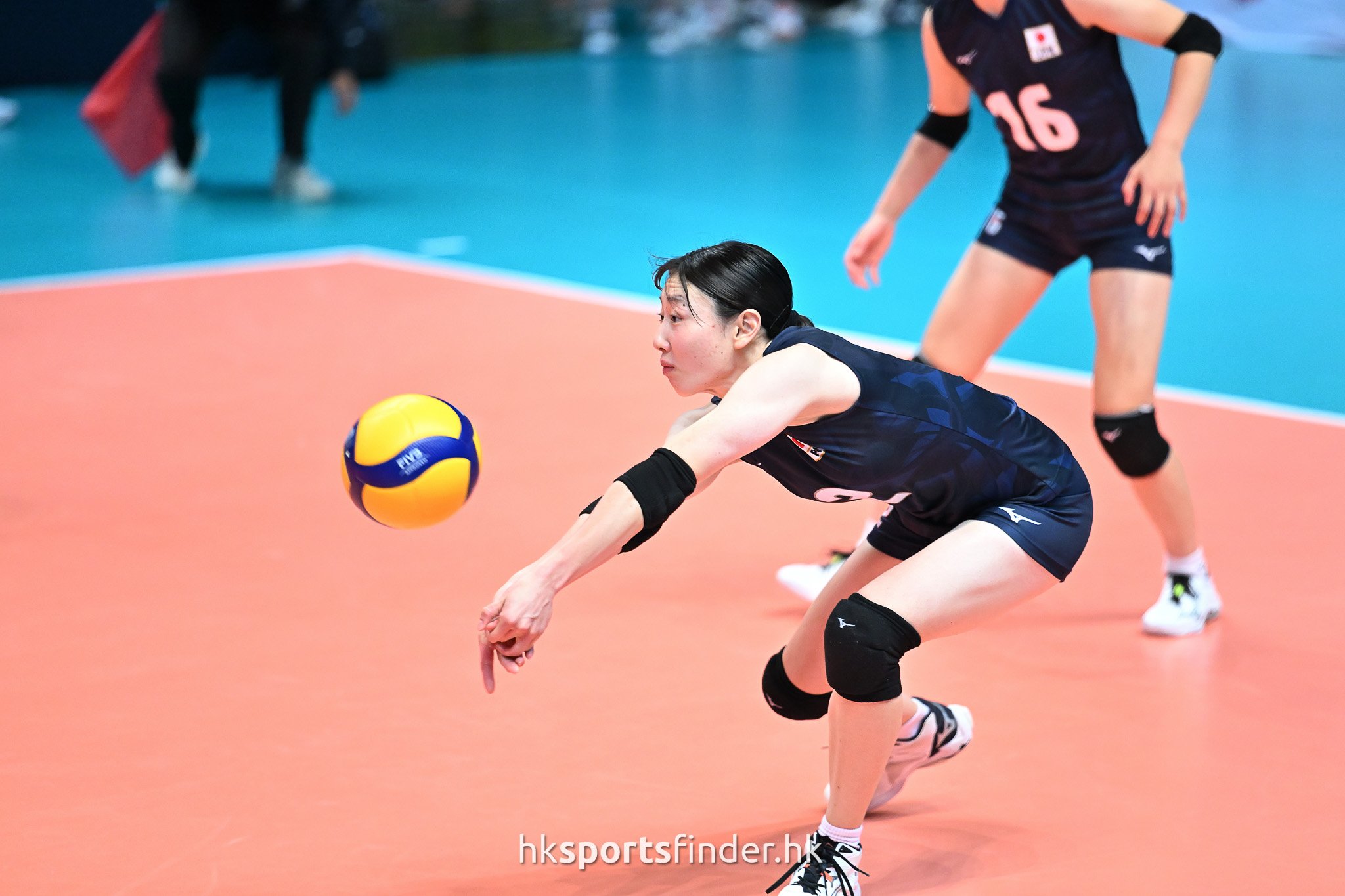 Z9P_5386.jpg
