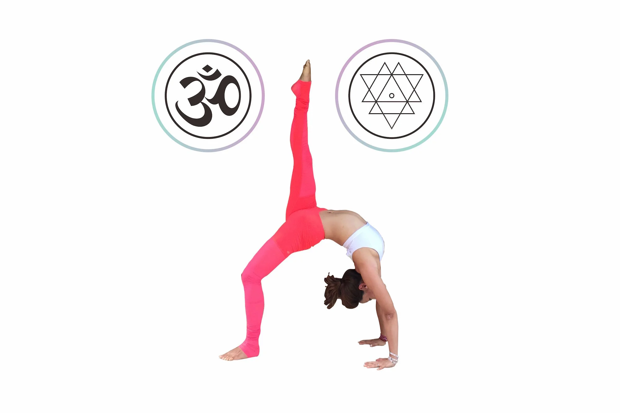 Yan Yan Mysore Ashtanga Workshop 免费公开课