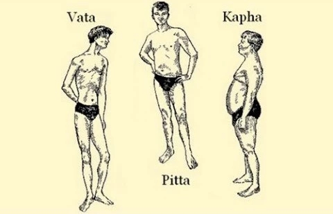 原来是体质在左右我的体型 三大能量如何影响我们的生活 Astha Yoga