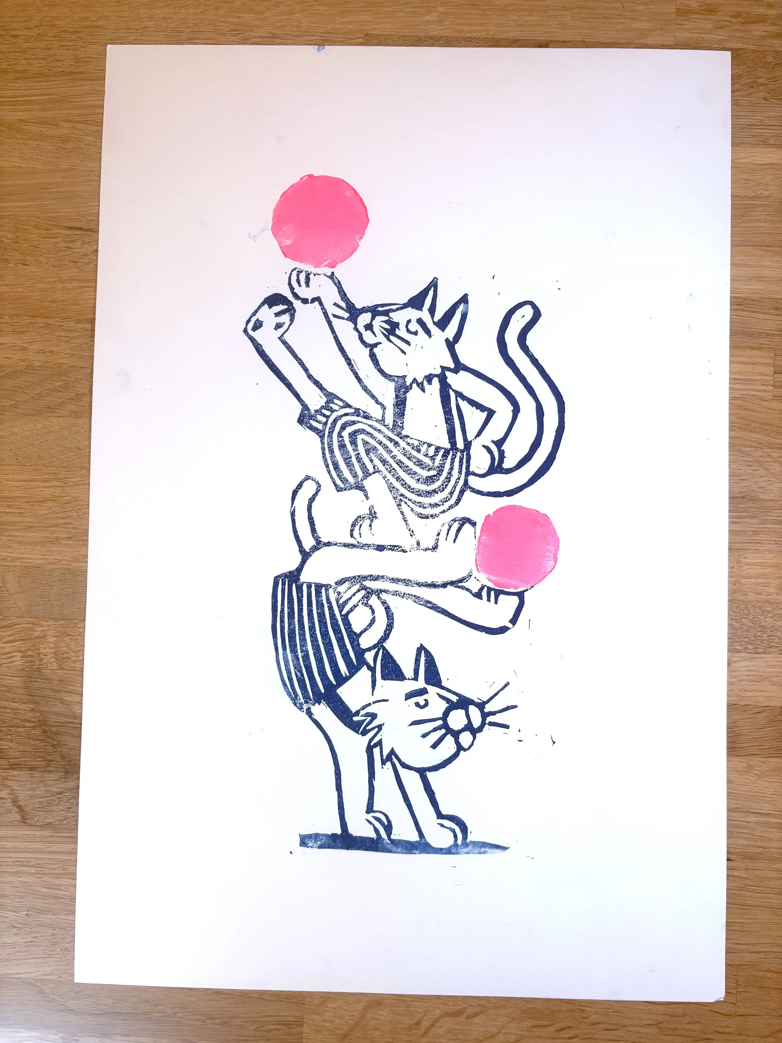 acrocats pink and blue.jpg