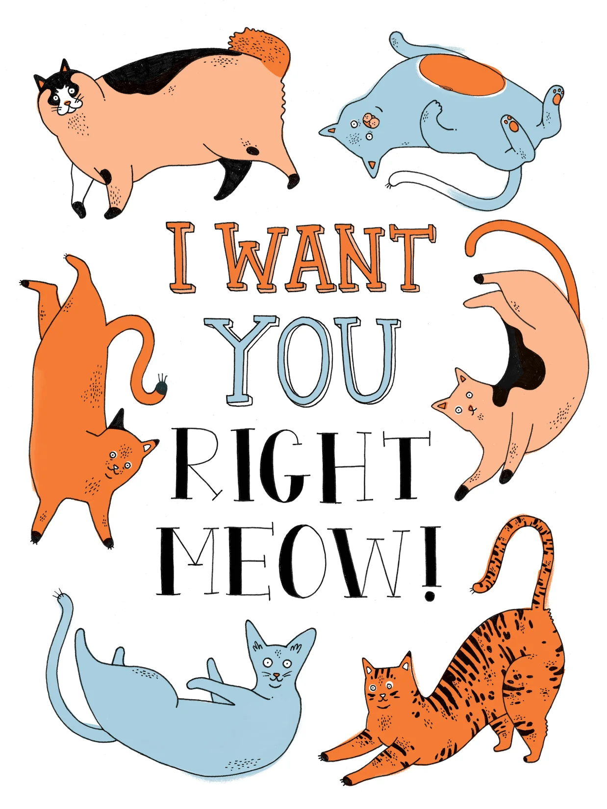 Huck_Cat_card_tilly.jpg