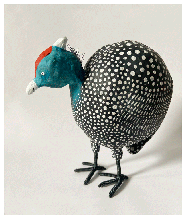 Tilly_Guinea-Fowl.gif