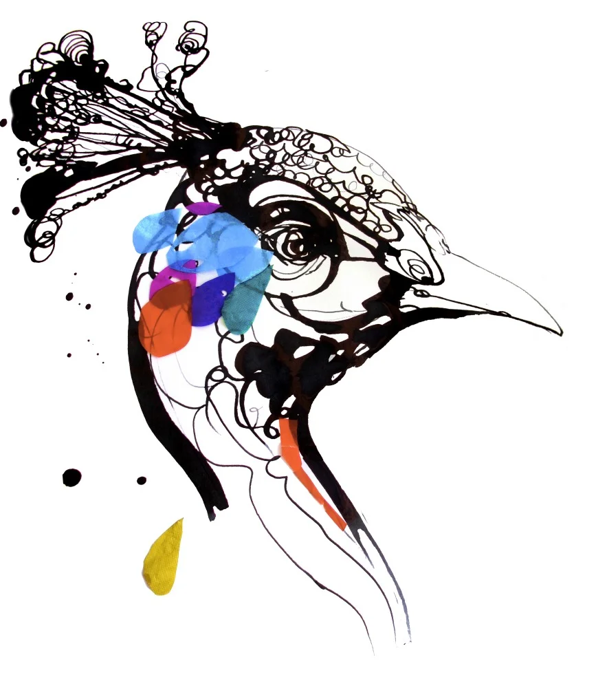 peacock.jpg