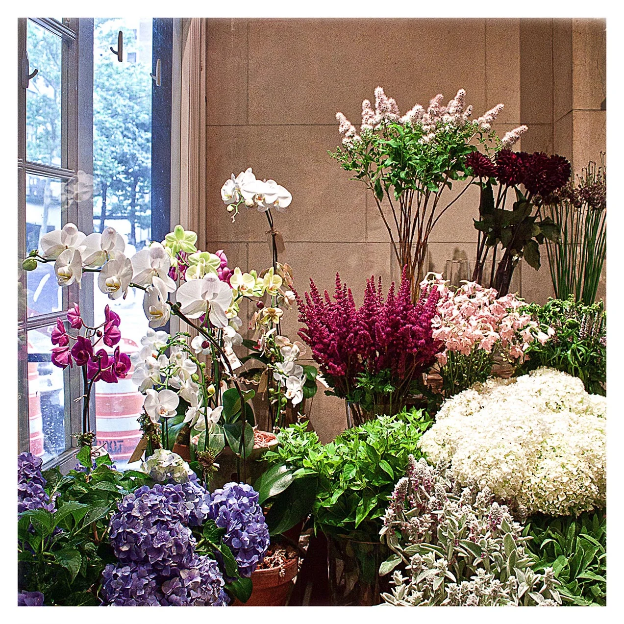 The Flower Shop.