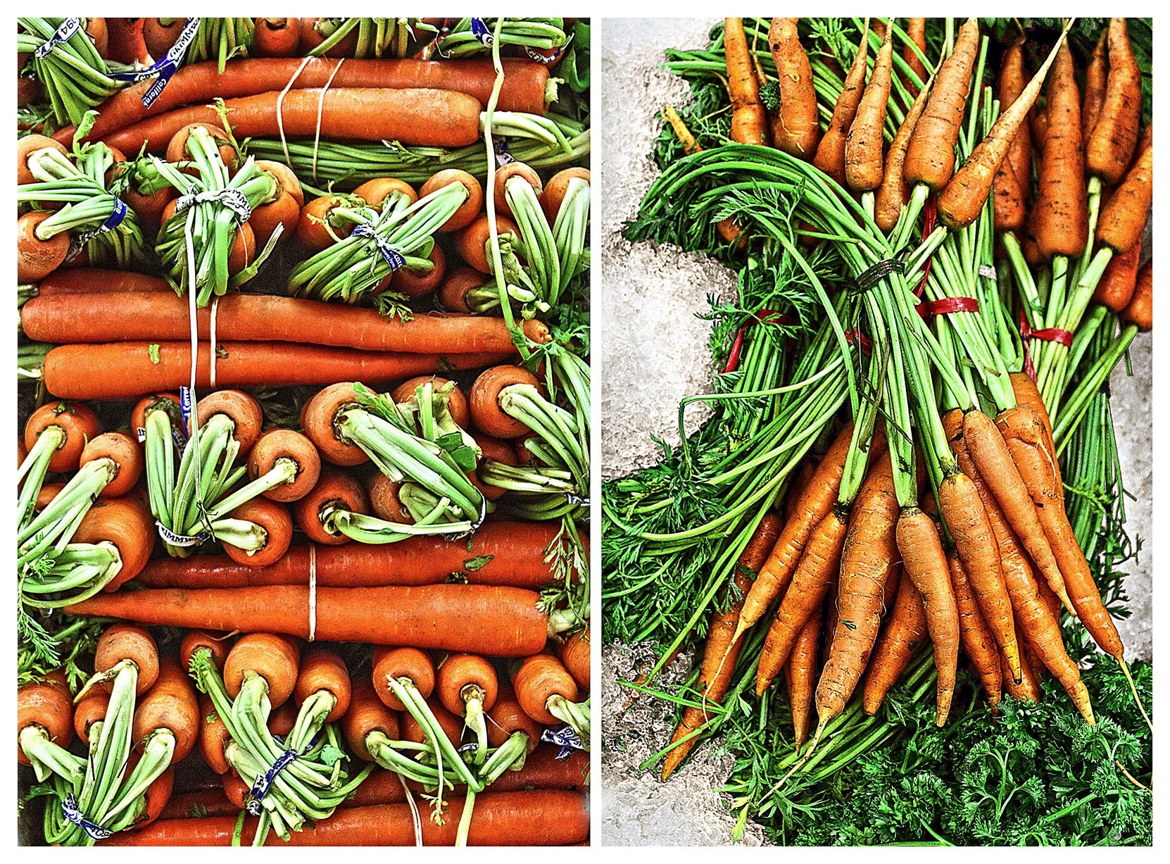 Perfectly orange carrots.
