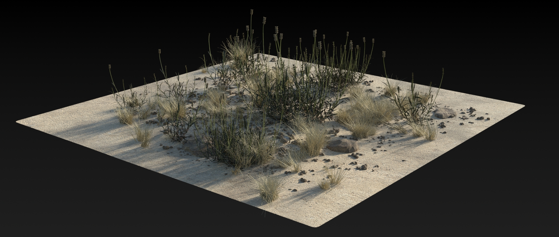 Dessert Vegetation