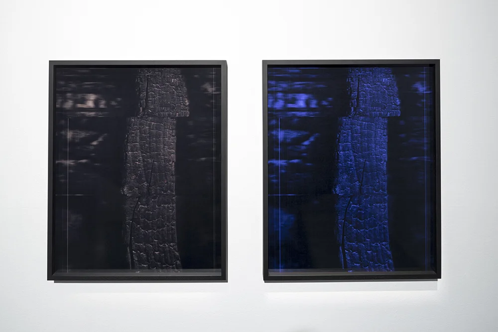 EVERYTHING FADES WHILE...2015.jpg