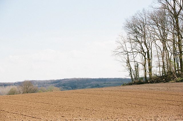 Old battleground near Ayette now farmland again

#ww1history #ww1 #worldwarone #worldwaronebattlefields #battlefields #ww1battlefield #ww1battlefields #fields #landscape #flandersfields #france #colour #colourphotography #color #colorphotography #doc