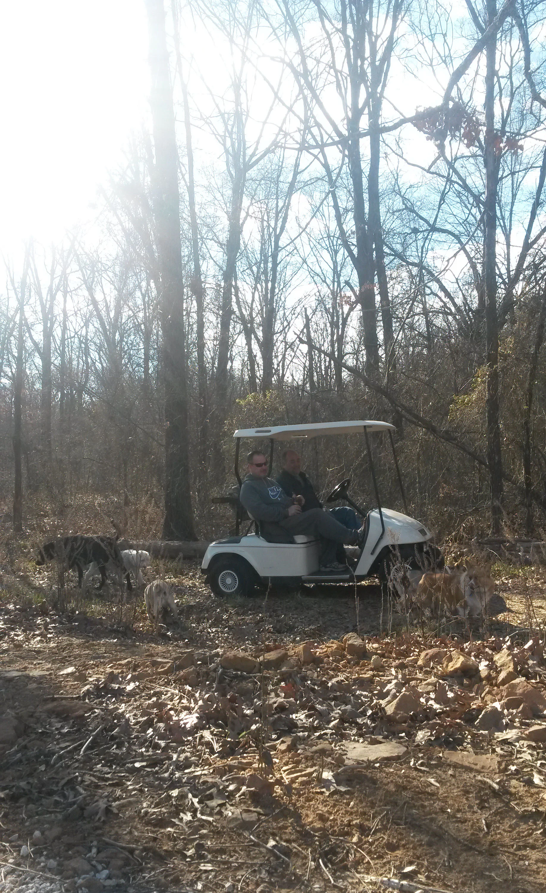 20150208_151523.jpg