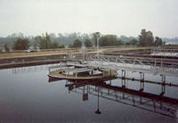 The City of Shreveport