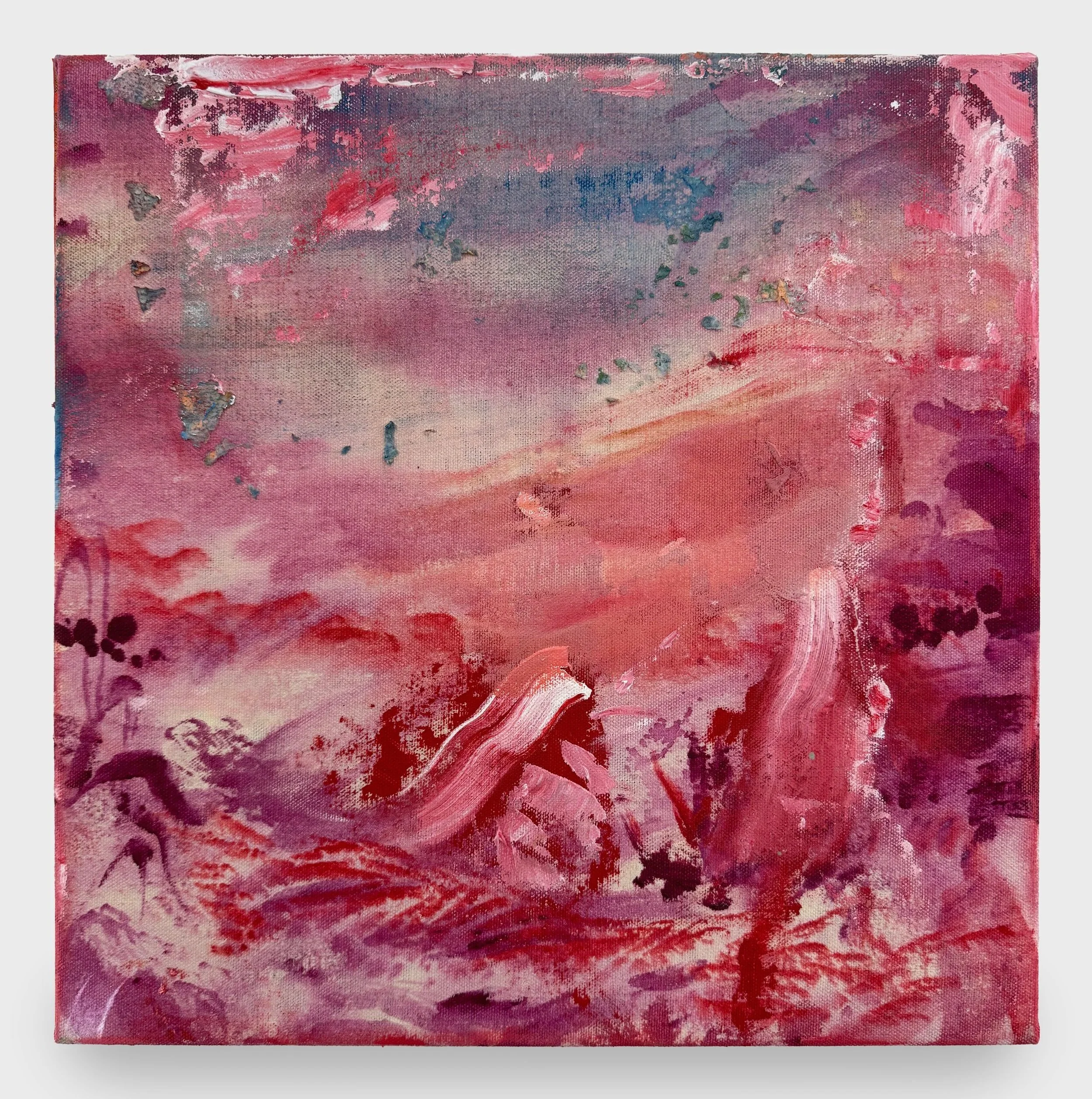  Arora 

 

 2026, acrylic on canvas, 14 x 14 inches 
