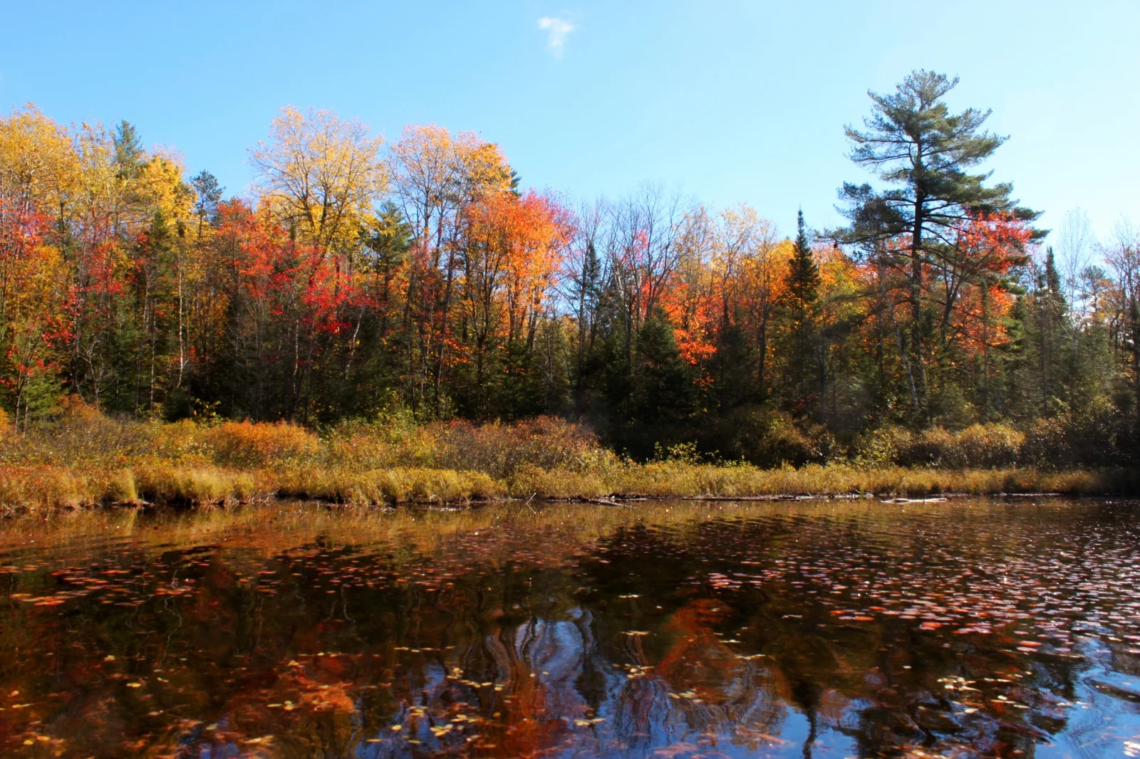 NextEra actions seen as bribe by locals