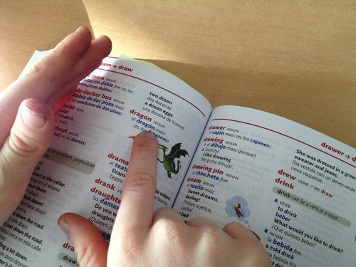 Bilingual dictionary skills