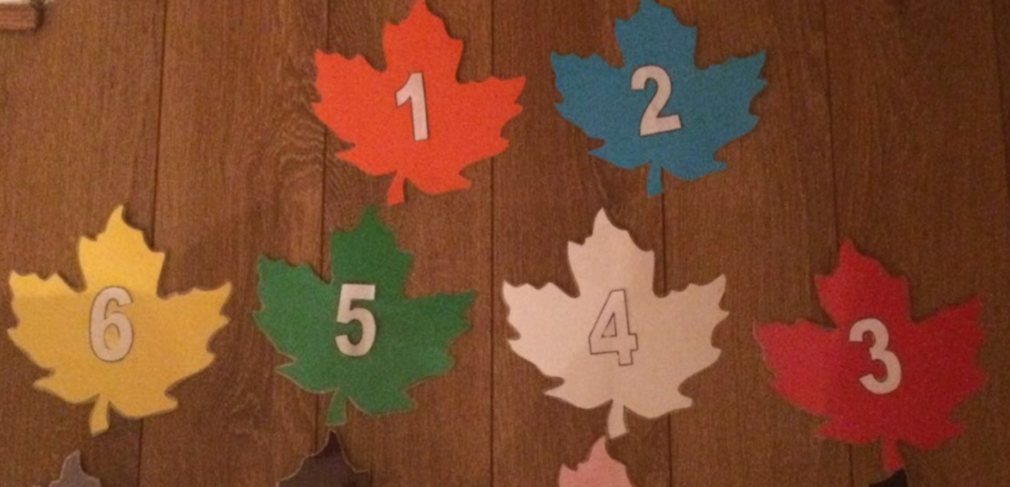 Numbers leaves VLE.png