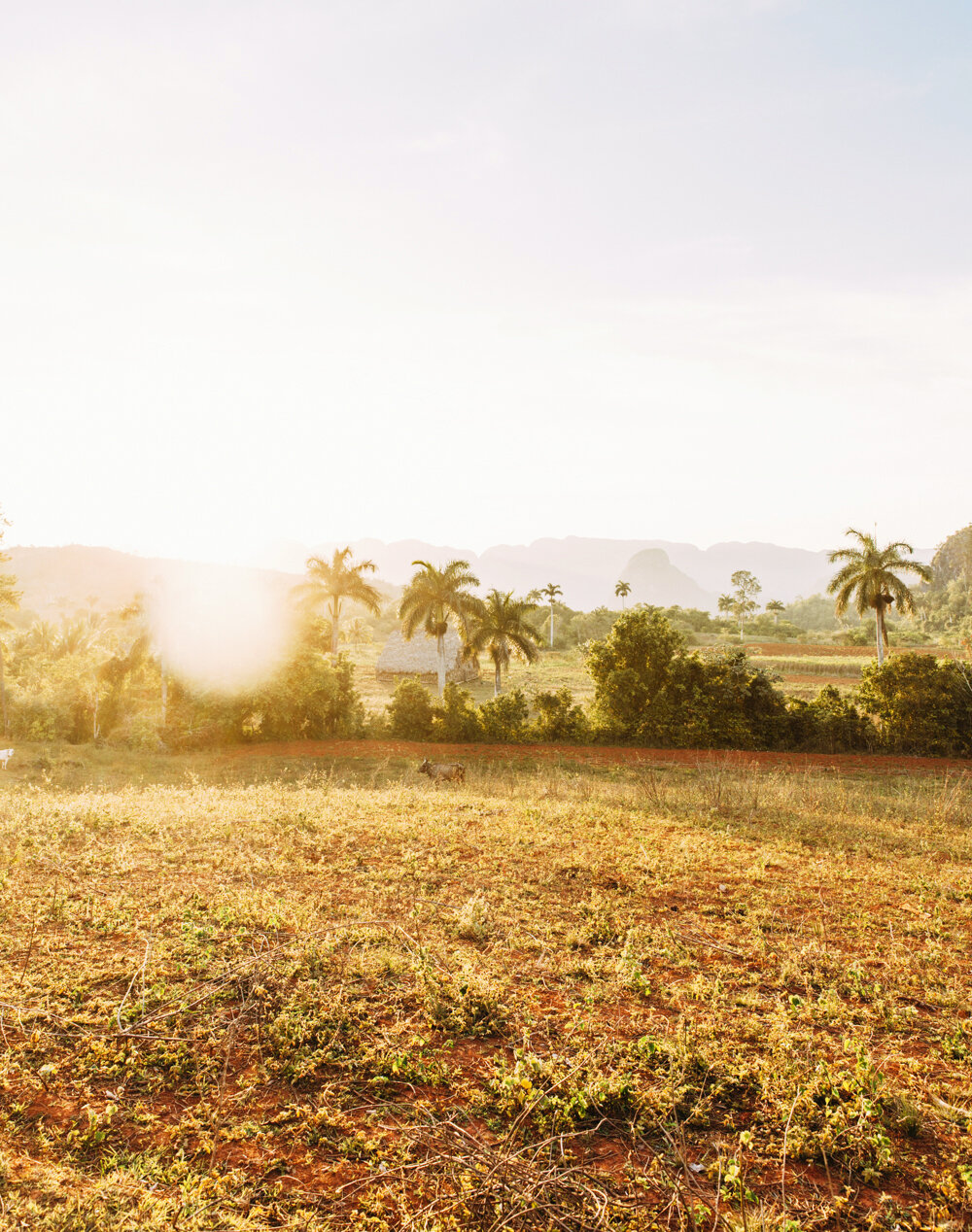 Travel | Cuba For Libelle Magazine.