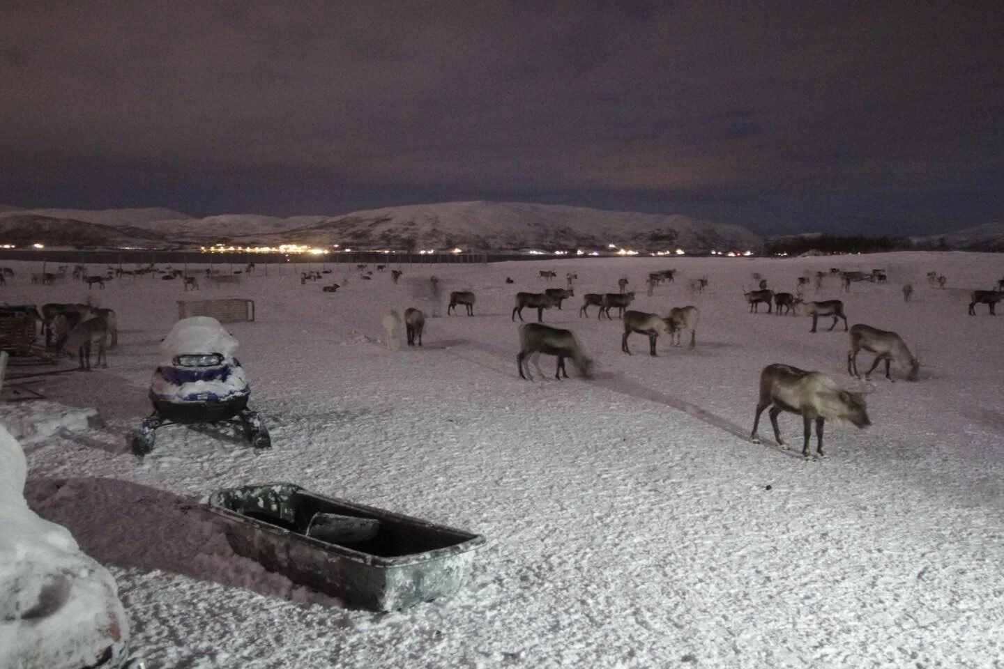The #world is still #beautiful. Troms&oslash; Norway, 2017.

#travelphotography #photography #love #instagood #travelgram #instagram #photo #wanderlust #tromso #norway @visittromso