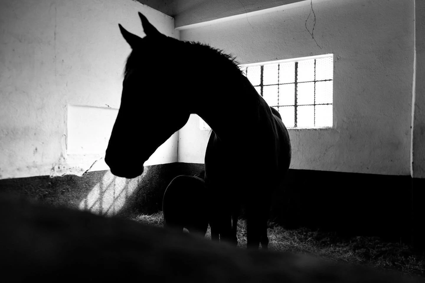 The #world is still #beautiful. The Karoo South Africa, 2021.

#documentaryphotography #photography #love #instagood #travelgram #instagram #photo #contentcreator #colesburg #karoo #southafrica #myfujifilmsa #myfujifilm @meetsouthafrica