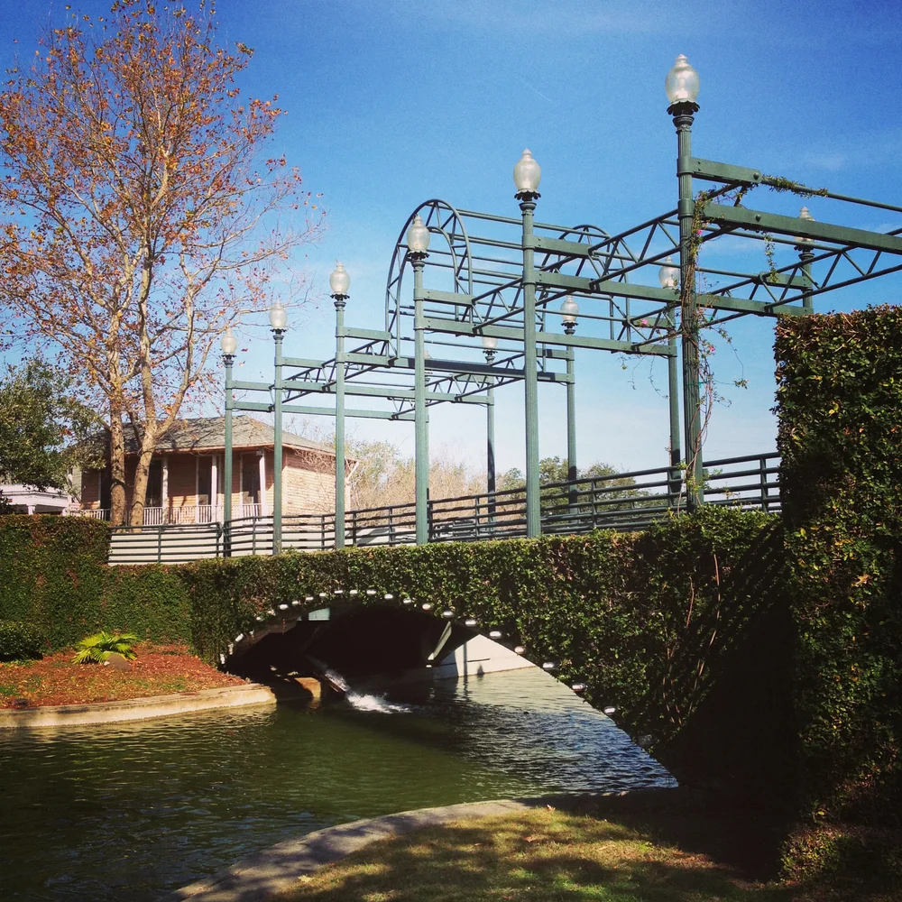 Family Center of Temple Terrace
