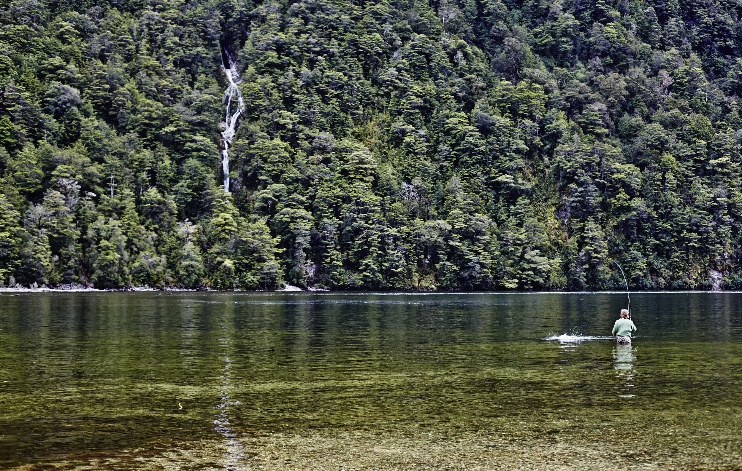 _MG_4284.jpg