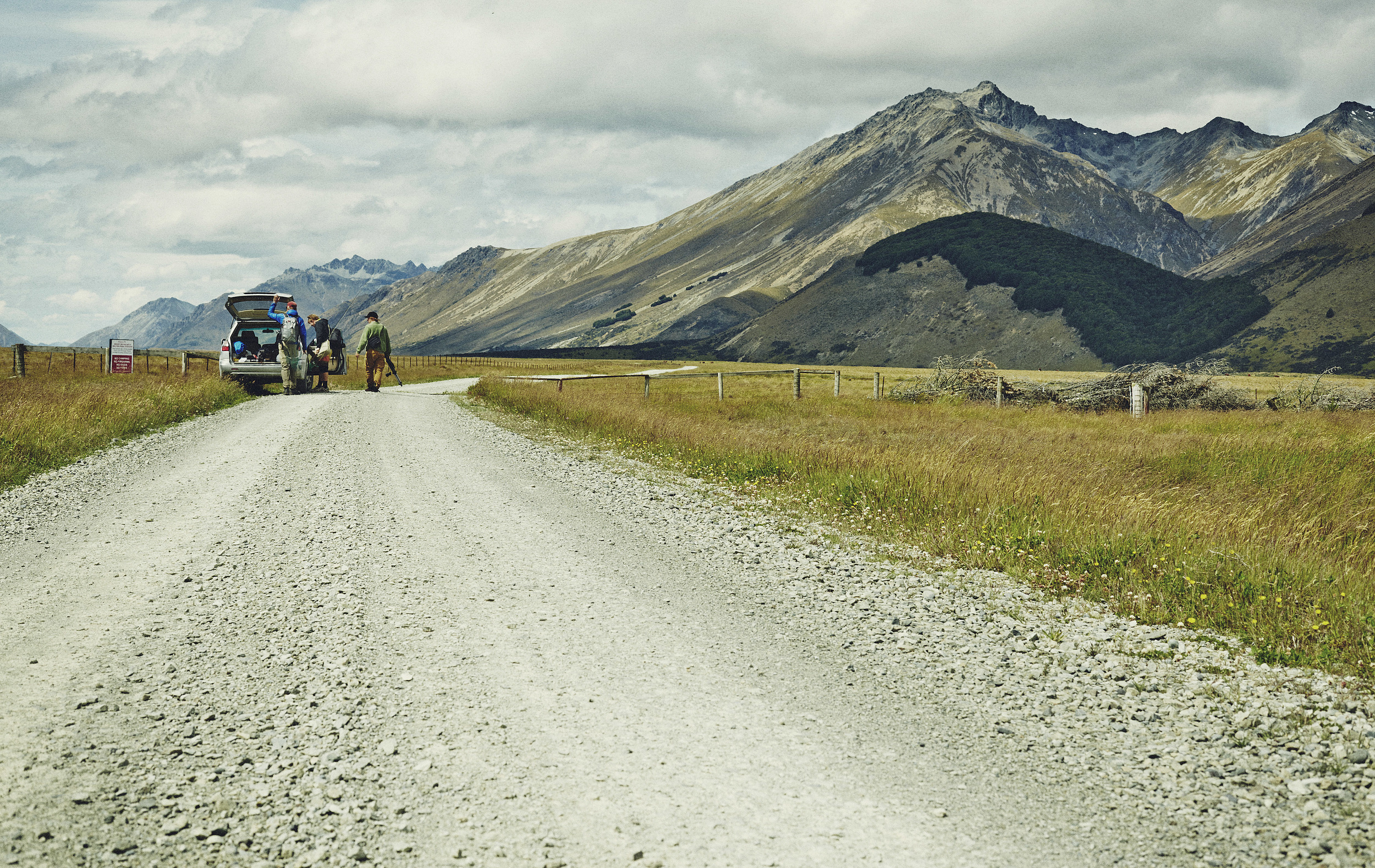 NZ14_03.jpg