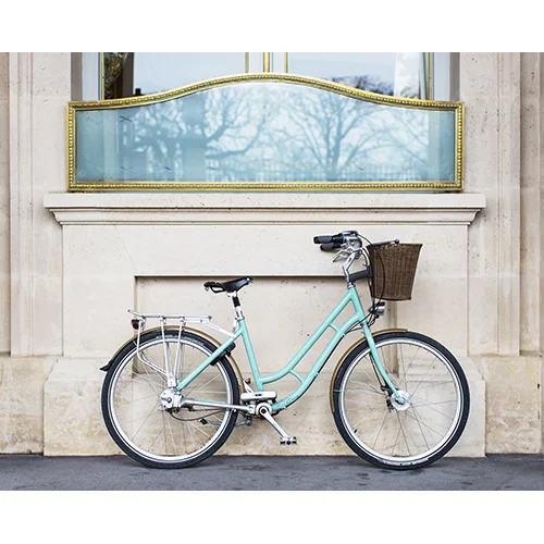 Blue Bike