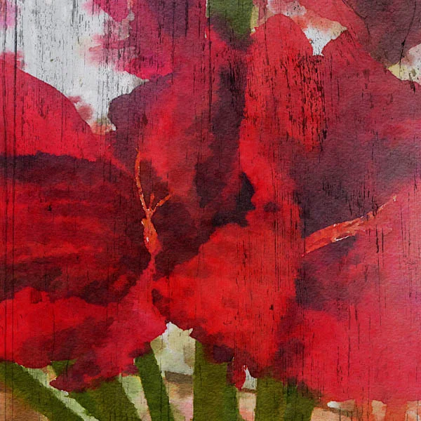 Blooming Love I