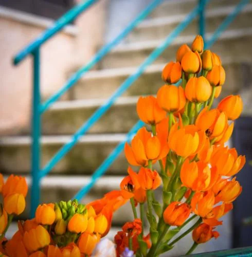 Flowers Staircase