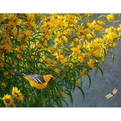 Yelllow Flowers Oriole