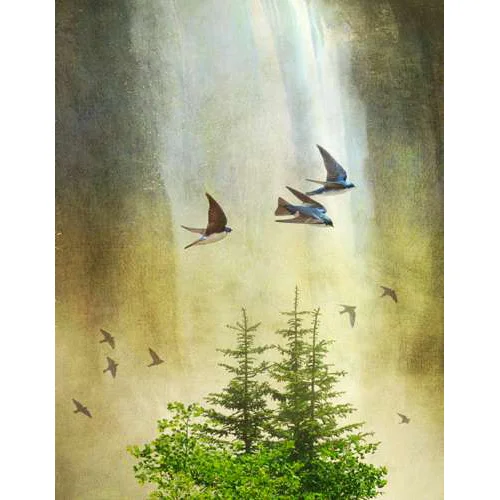 Waterfall Tree Swallows