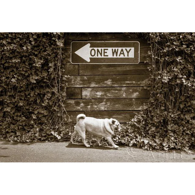 Which Way