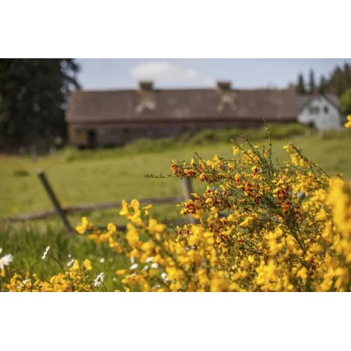Heartland Flowers