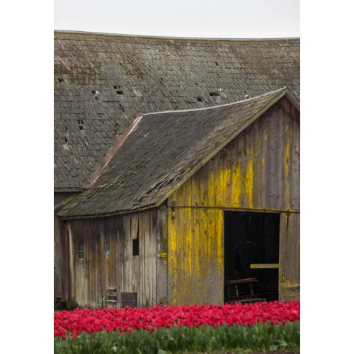 Barn Flowers